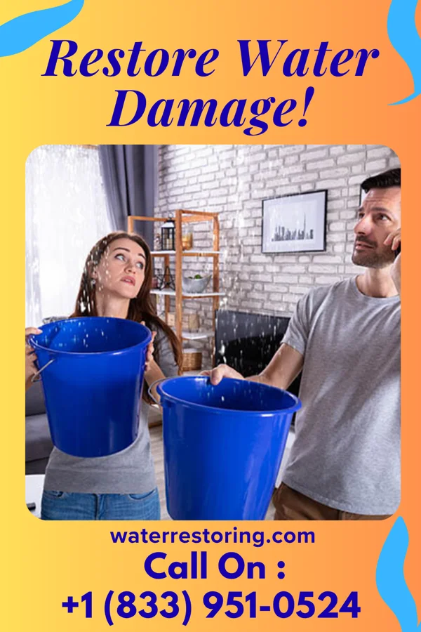 water restoration Elite Damage Recovery Team Ridgeville