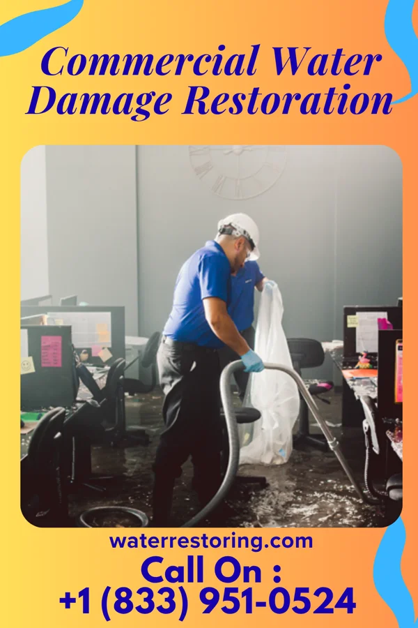 Commercial Water Damage Restoration in Ridgeville, AL
